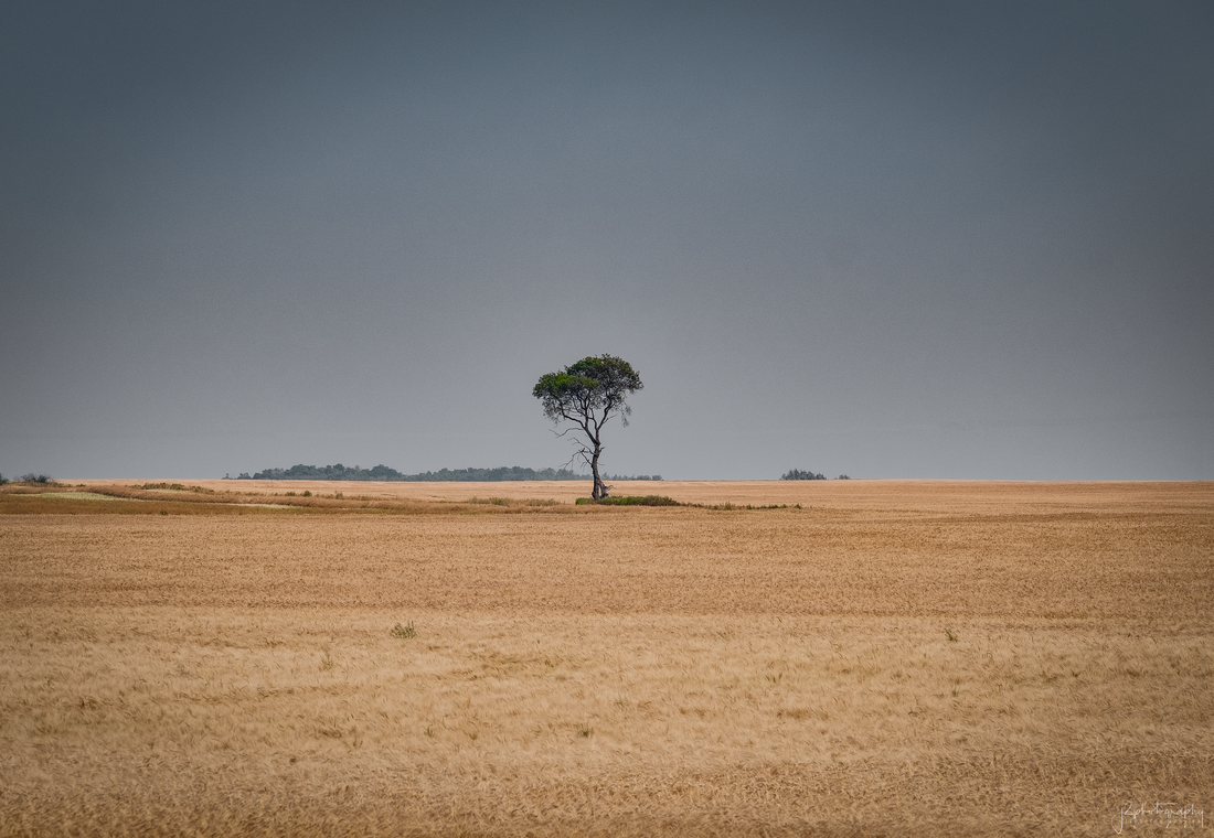 ...all by myself...